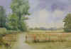 Off Hitches Lane by Tony Yates.jpg (233352 bytes)