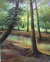 Woodland Scene by Ria Cornell.jpg (358976 bytes)
