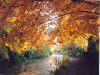 51 and over.jpg (90907 bytes)